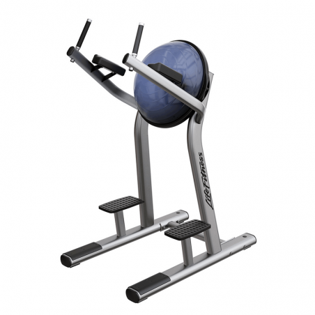 Signature Series Leg Raise | Life Fitness