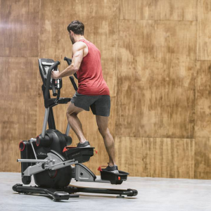 Bowflex LateralX LX5i