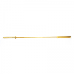 Golden Power Bar MP838 | Muscle Power