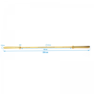 Golden Power Bar MP838 | Muscle Power