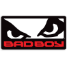 Bad Boy